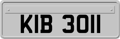 KIB3011