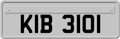 KIB3101