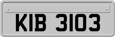 KIB3103