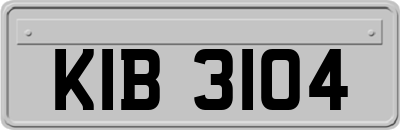 KIB3104