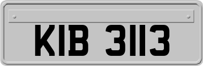 KIB3113