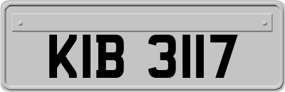 KIB3117