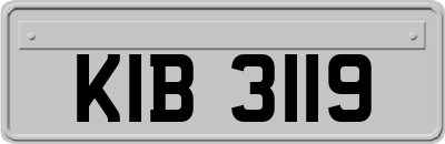 KIB3119