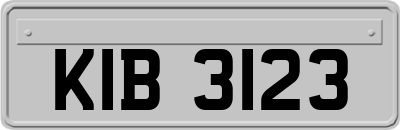 KIB3123