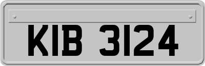 KIB3124