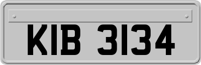 KIB3134