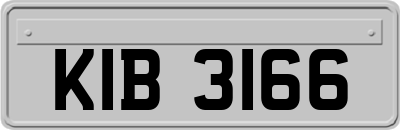 KIB3166