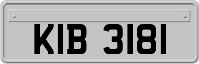 KIB3181