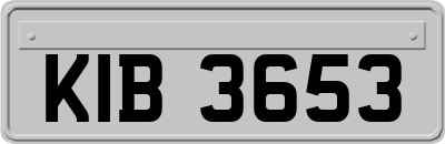 KIB3653