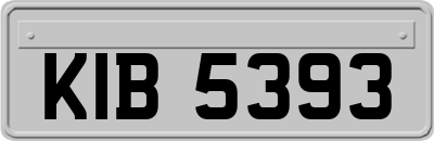 KIB5393