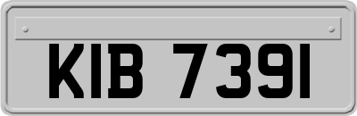 KIB7391