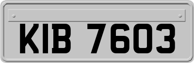 KIB7603