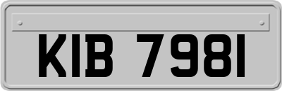 KIB7981