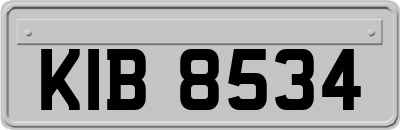 KIB8534