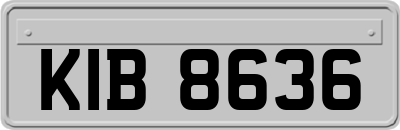 KIB8636