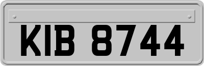 KIB8744