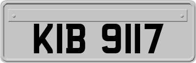 KIB9117