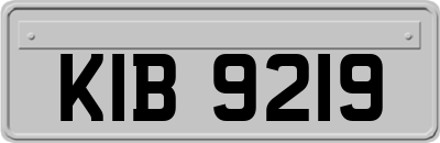 KIB9219