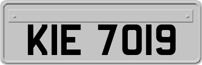 KIE7019