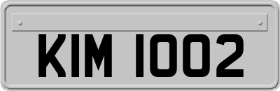 KIM1002