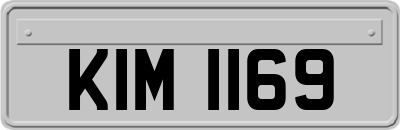 KIM1169