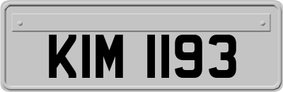 KIM1193