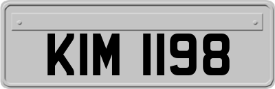 KIM1198