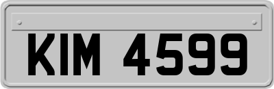 KIM4599