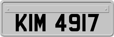 KIM4917
