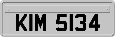 KIM5134