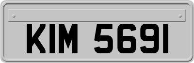 KIM5691