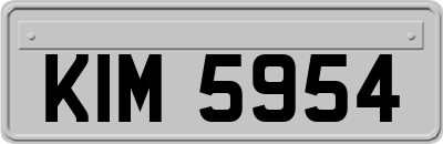 KIM5954