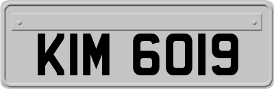 KIM6019