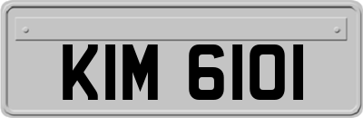 KIM6101