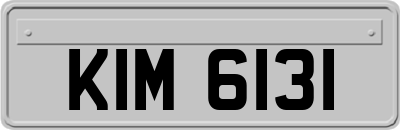 KIM6131