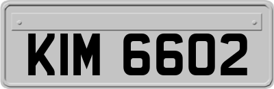 KIM6602