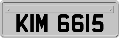 KIM6615