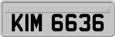 KIM6636