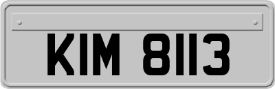KIM8113