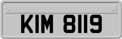 KIM8119