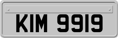 KIM9919