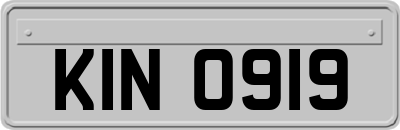 KIN0919