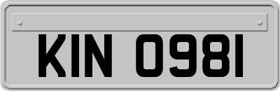 KIN0981