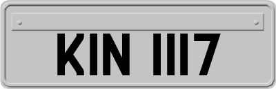 KIN1117