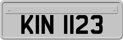 KIN1123