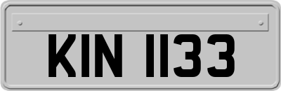 KIN1133