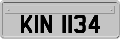 KIN1134