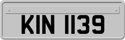 KIN1139