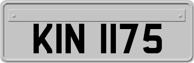 KIN1175