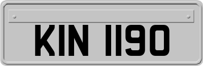 KIN1190